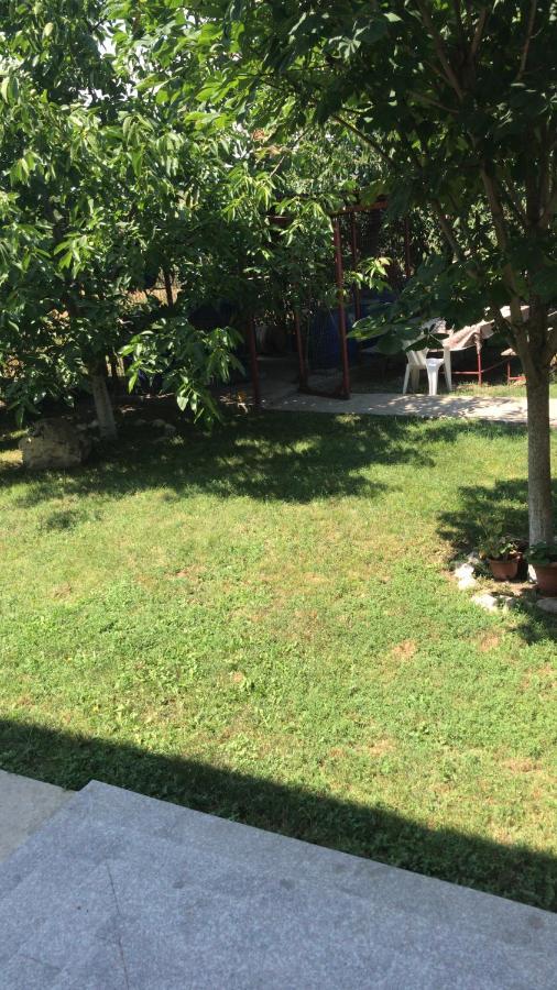 Villa Rosa Năvodari Exteriör bild